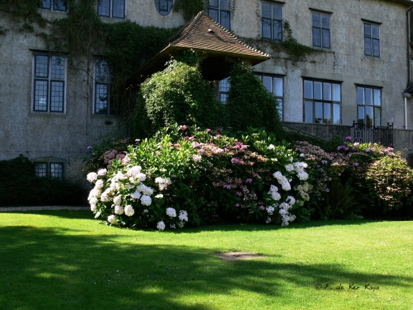 Bois des Moutiers  (42) Summer 2012